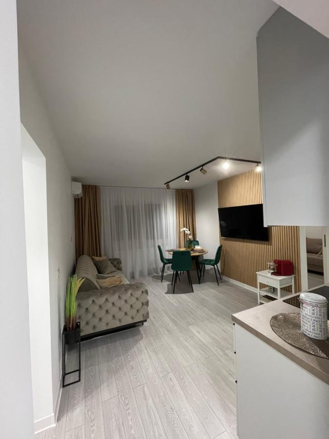 Oxana Apartments - 3 Camere - Timişoara Exterior foto