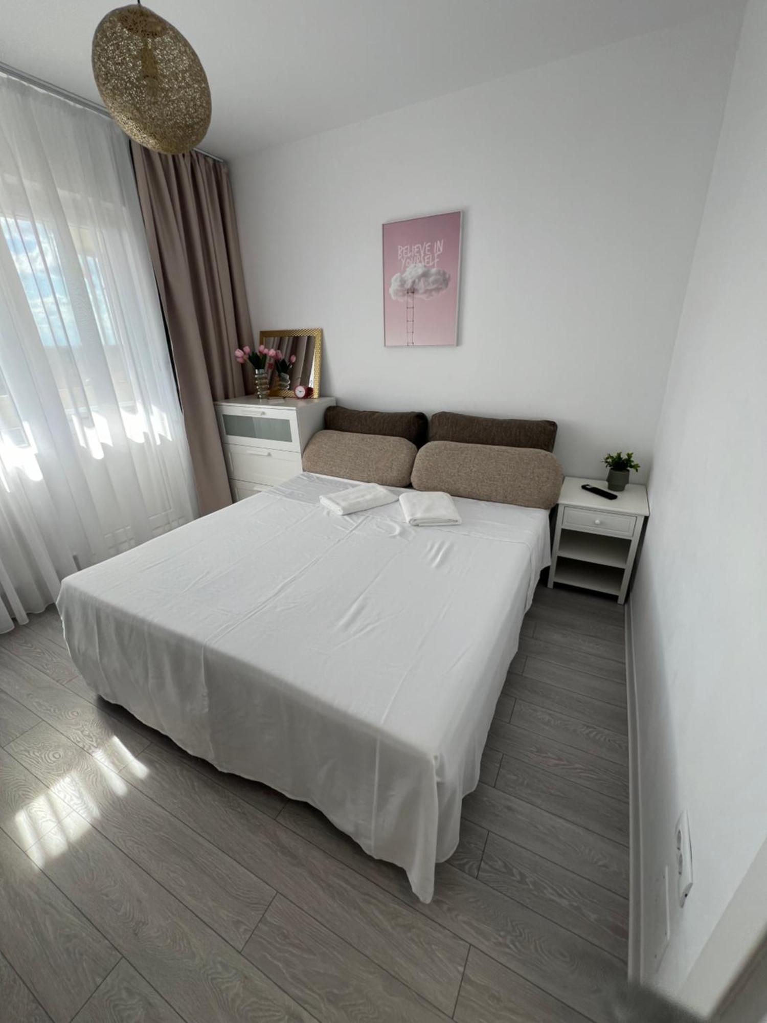 Oxana Apartments - 3 Camere - Timişoara Exterior foto
