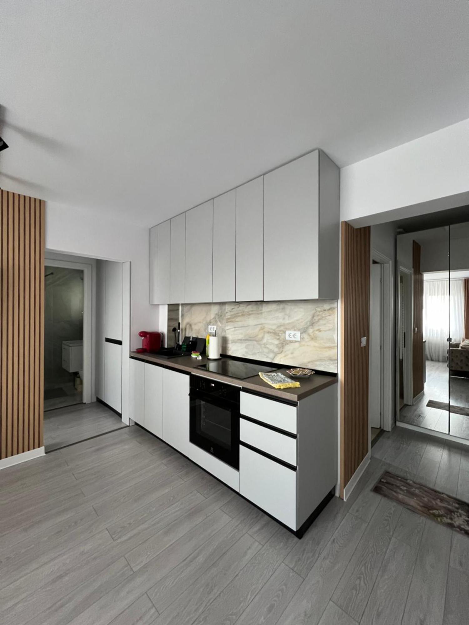 Oxana Apartments - 3 Camere - Timişoara Exterior foto